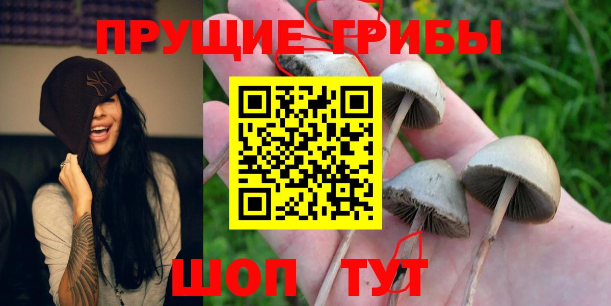 Псилоцибиновые грибы Magic Shrooms Волгодонск